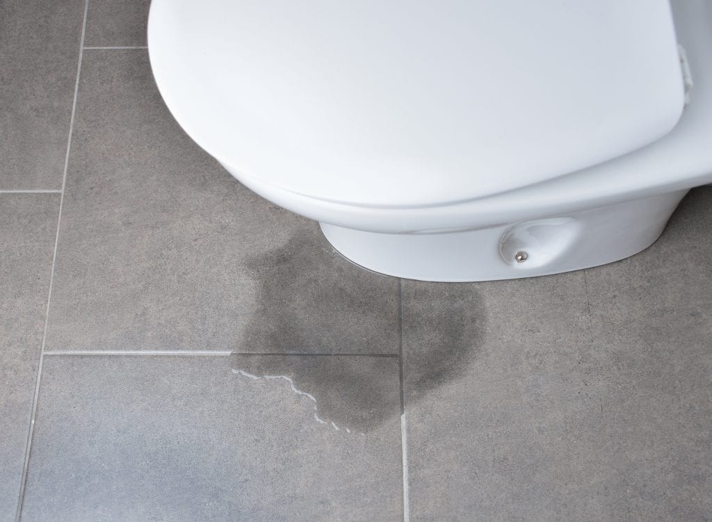 Leaking toilet? How a small leak can cost you upwards of $100,000