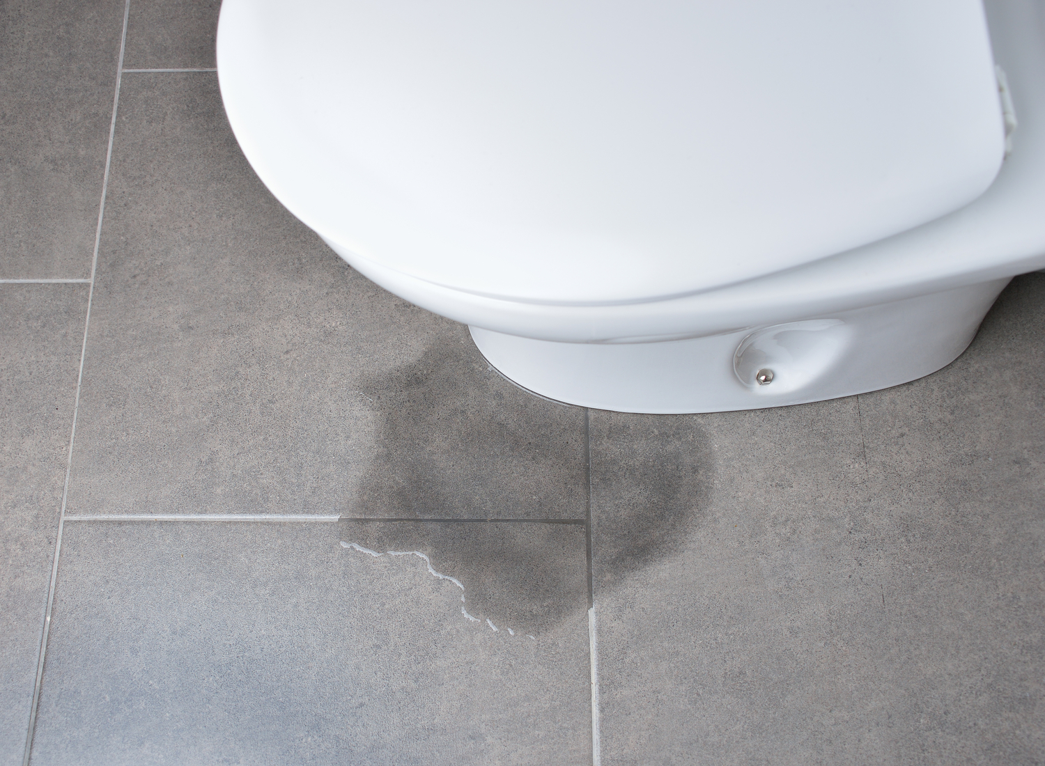 6 Reasons Why Your Toilet Is Leaking at the Base