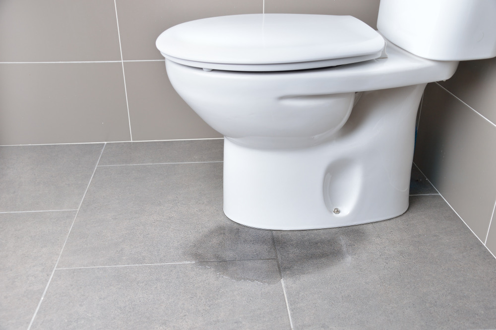 Are Flushable Wipes Actually Flushable leaking toilet