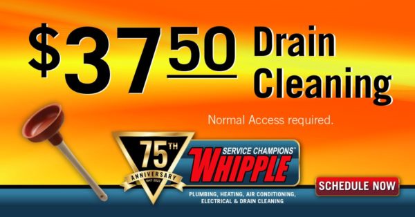$37.50 Drain Cleaning